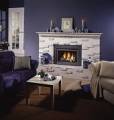 majestic fireplace doors.